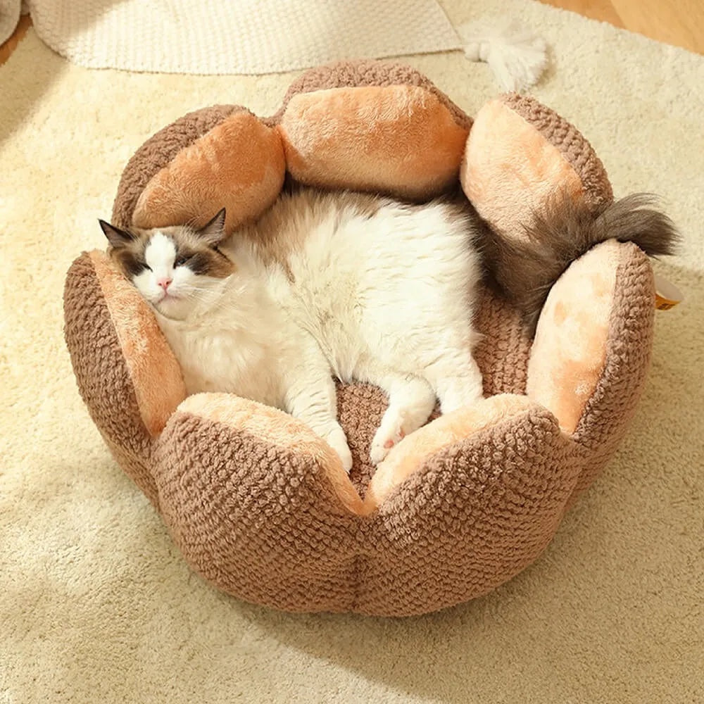 CactusBed - Kuscheliges Bett für dein Haustier