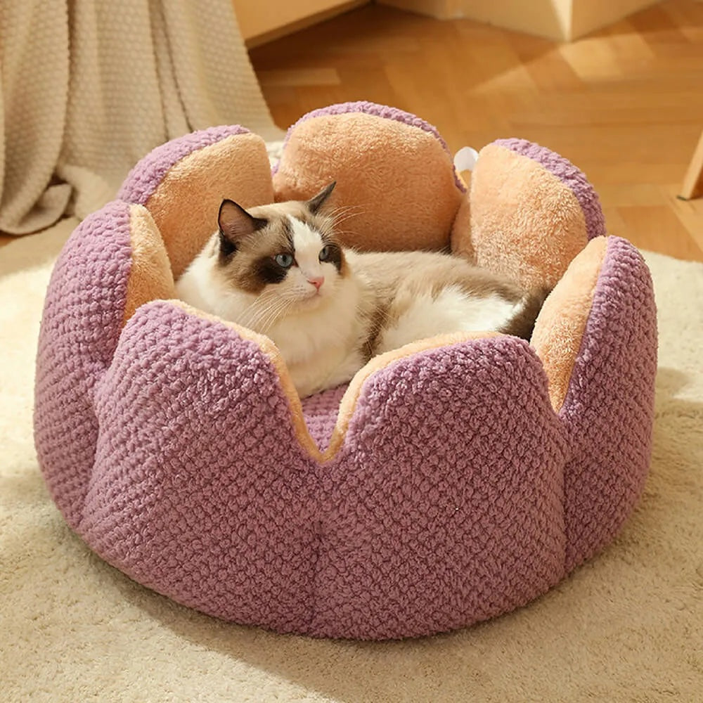CactusBed - Kuscheliges Bett für dein Haustier