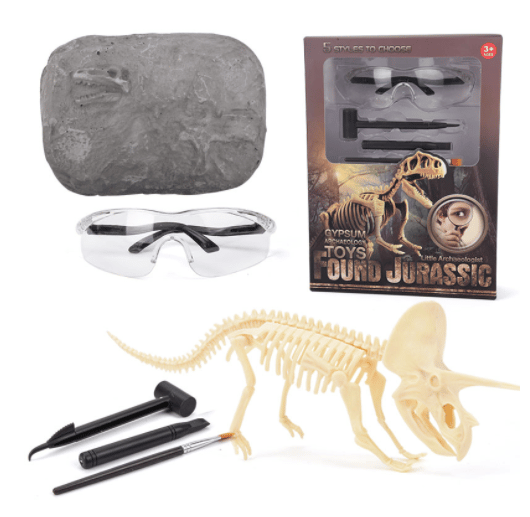 Dinosaurier Fossil Ausgrabung Set™