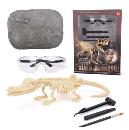 Dinosaurier Fossil Ausgrabung Set™