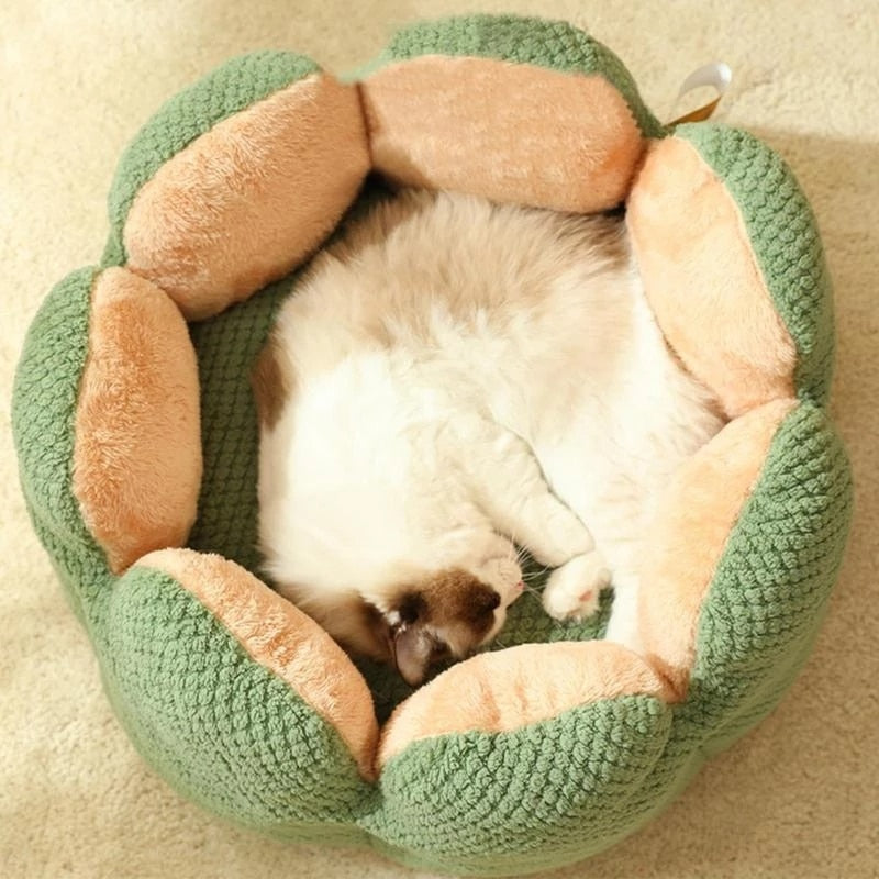 CactusBed - Kuscheliges Bett für dein Haustier