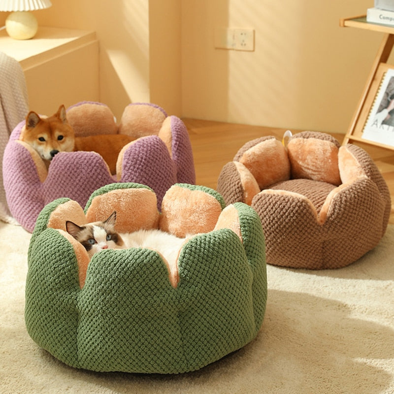 CactusBed - Kuscheliges Bett für dein Haustier