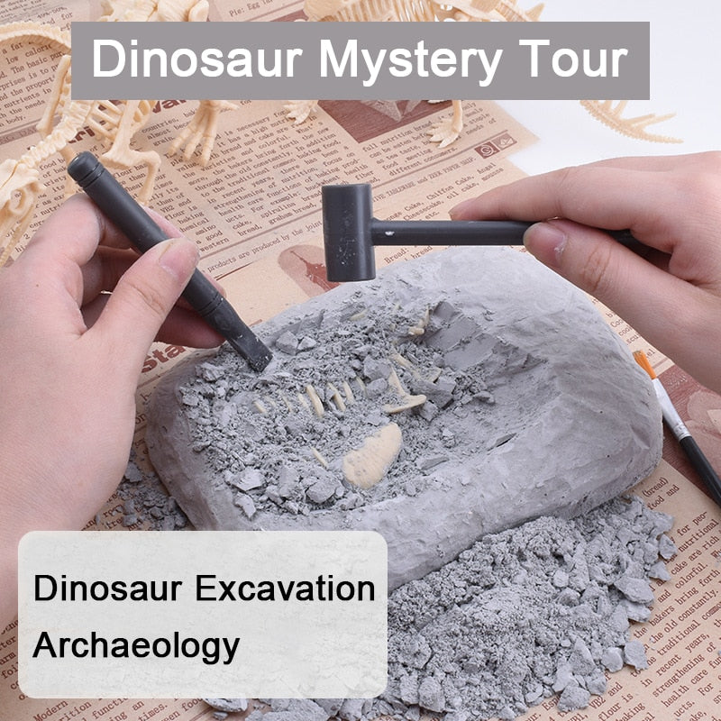 Dinosaurier Fossil Ausgrabung Set™