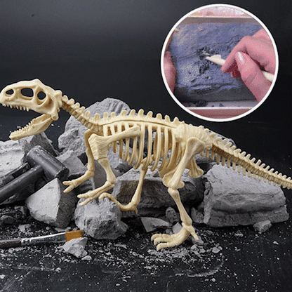 Dinosaurier Fossil Ausgrabung Set™