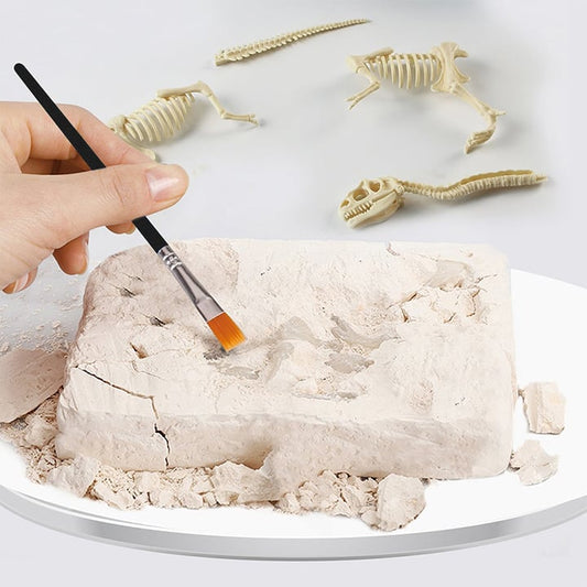 Dinosaurier Fossil Ausgrabung Set™