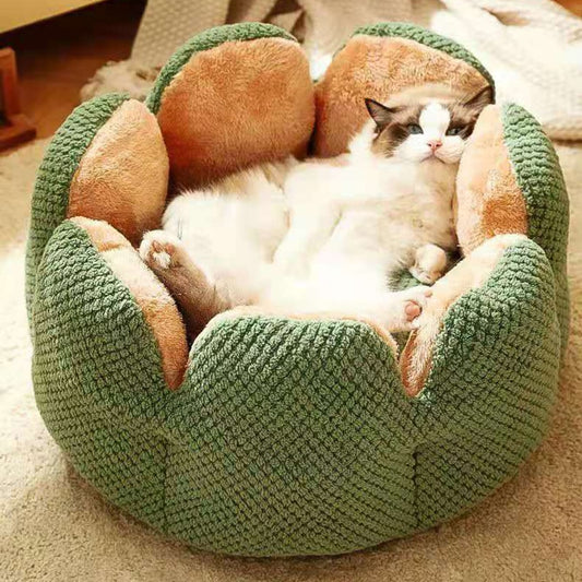 CactusBed - Kuscheliges Bett für dein Haustier