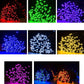 Multi-farbige animierte LED-Weihnachtsbaum-Lichtshow - 1+1 GRATIS!